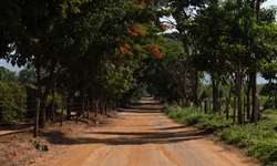 Na rota do grão do Cerrado